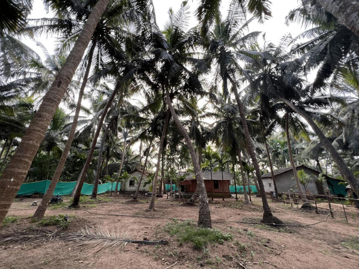 Hostelexp, Gokarna - A Slow-Paced Backpackers Community Ngoại thất bức ảnh