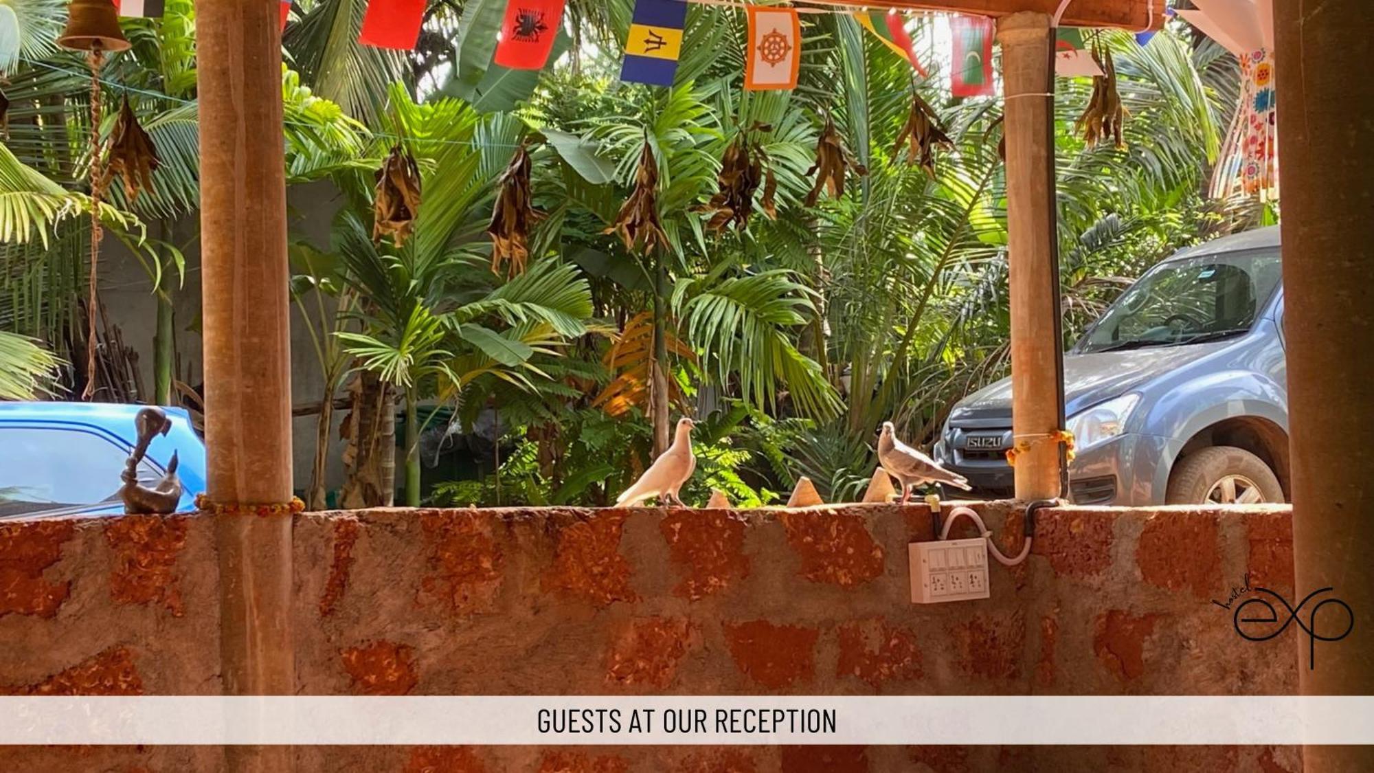 Hostelexp, Gokarna - A Slow-Paced Backpackers Community Ngoại thất bức ảnh